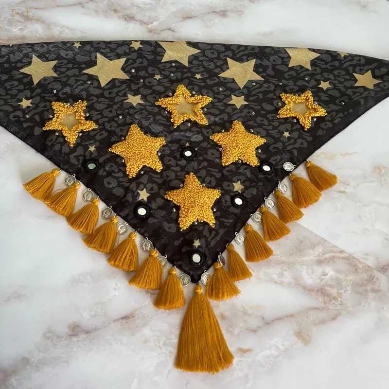 Pañoleta Texas Bordada 3